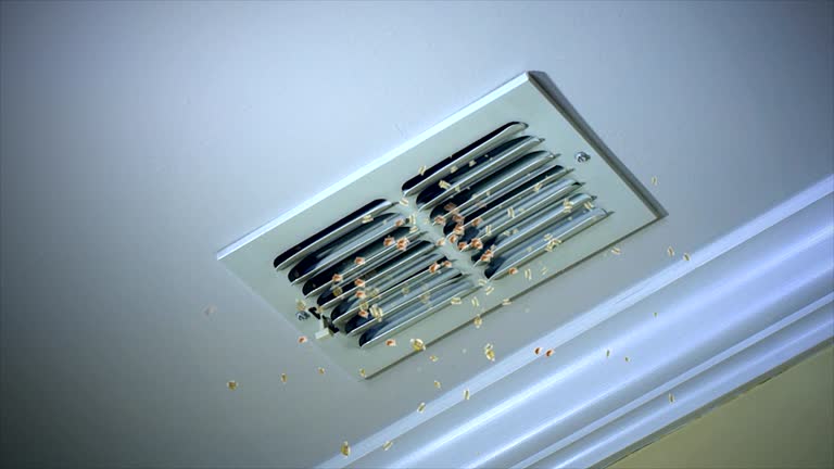 Best Home Air Vent Cleaning  in Oakland Park, FL
